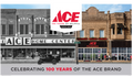 Ace Handyman Services Fox Valley