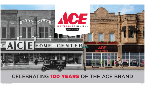 Ace Handyman Services Fox Valley