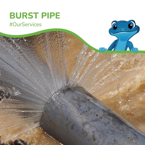 Bluefrog Plumbing + Drain