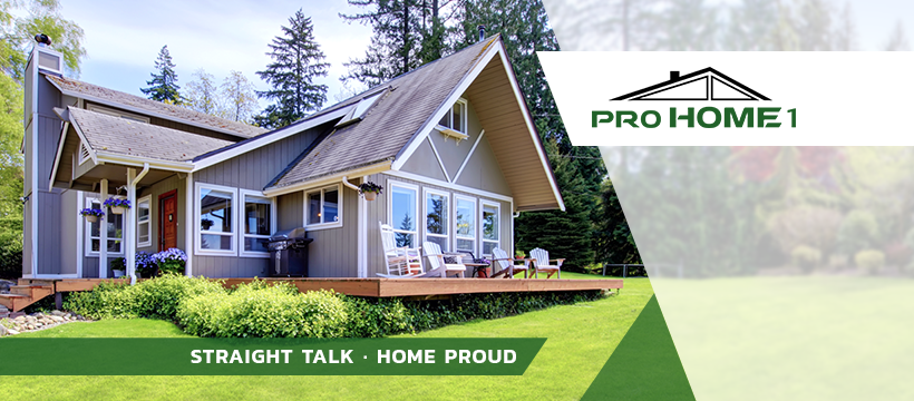 Pro Home 1