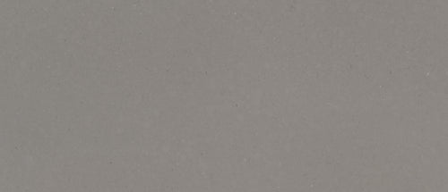FOSSIL GRAY