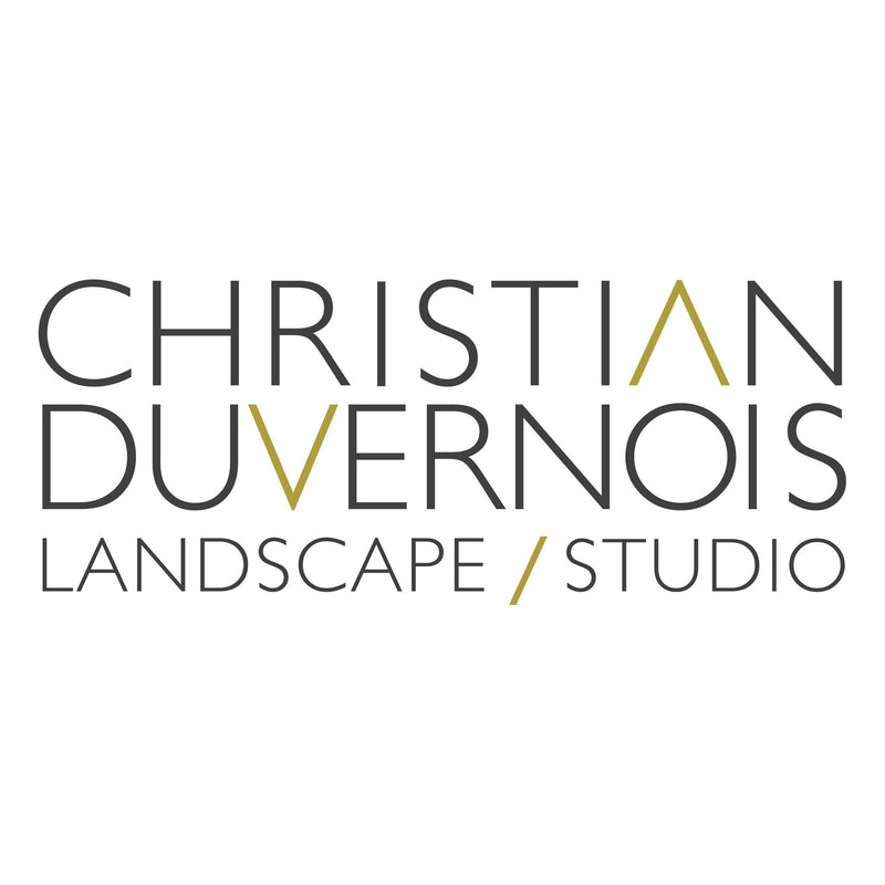 Christian Duvernois Landscape/Studio