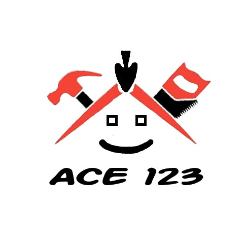 ACE 123