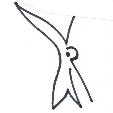 Humming Bird Woodworks