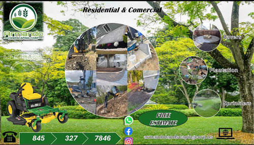 Armando Landscaping