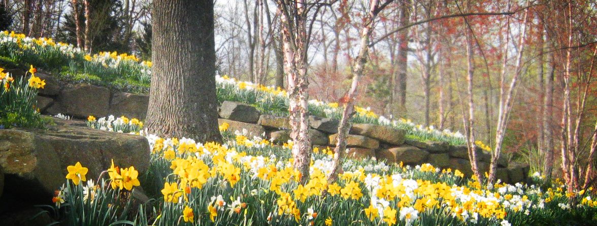 Caliper Farms Nursery & Landscaping Services