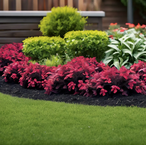 Advantage Landscaping and Services