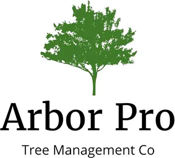 Arbor Pro Tree Service