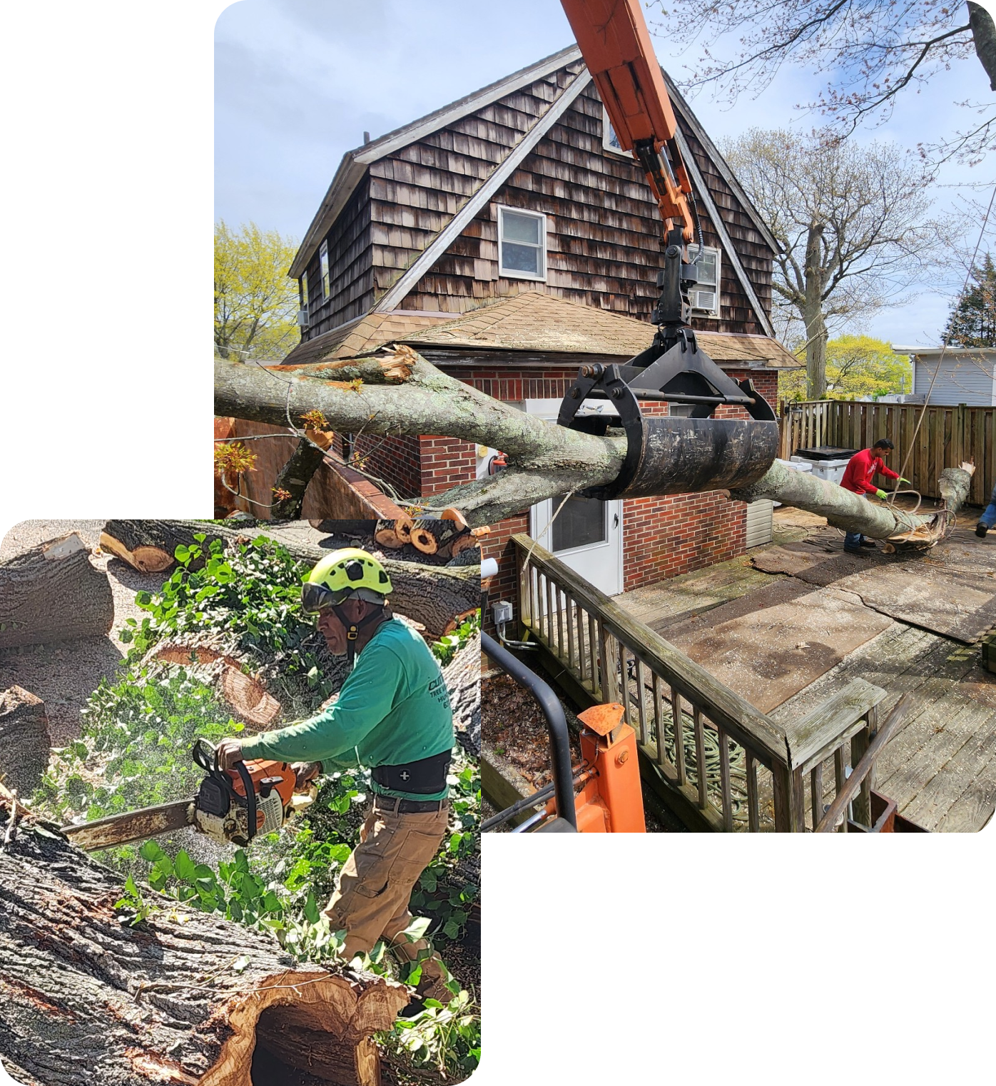 Cutting Edge Tree and Landscaping LLC.