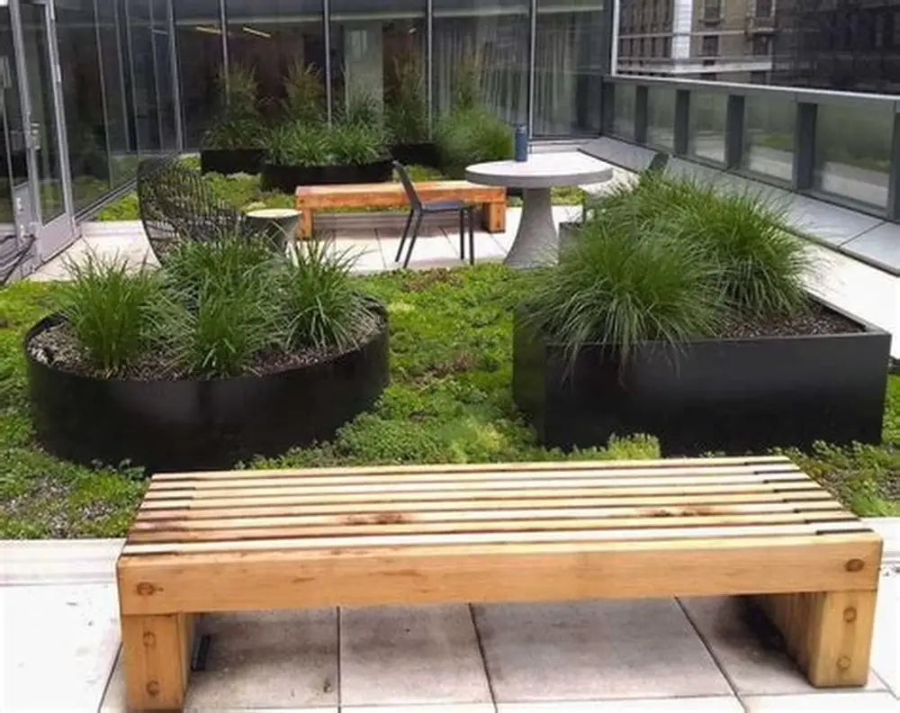 Plant Specialists