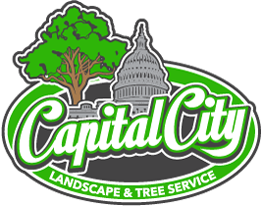 Capital City Landscape & Tree Service