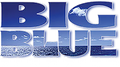 Big Blue Plumbing