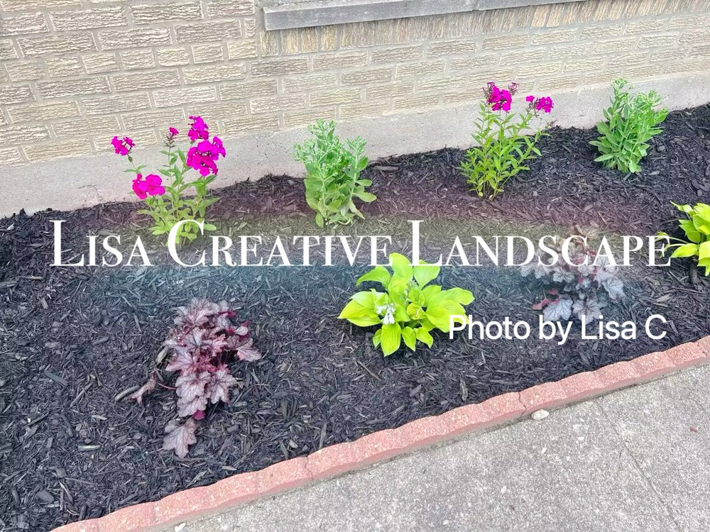 Lisa Creative Landscape LLC