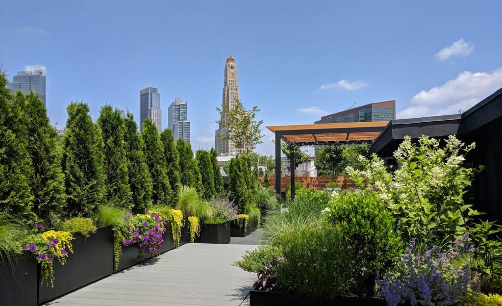 Amber Freda Landscape Design