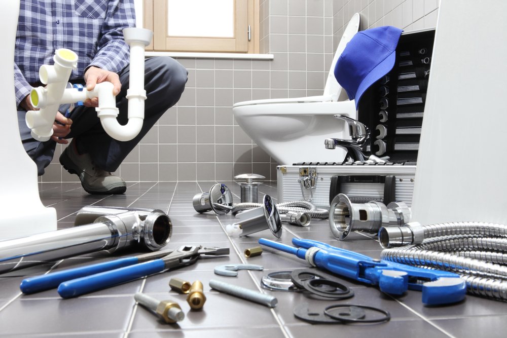 Delaware Plumbing Professionals (Branch)