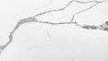 Select your countertop